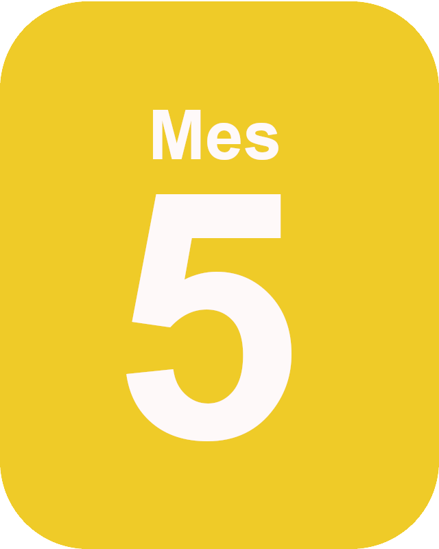 mes cinco Mes 5