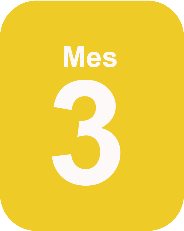 mes tres