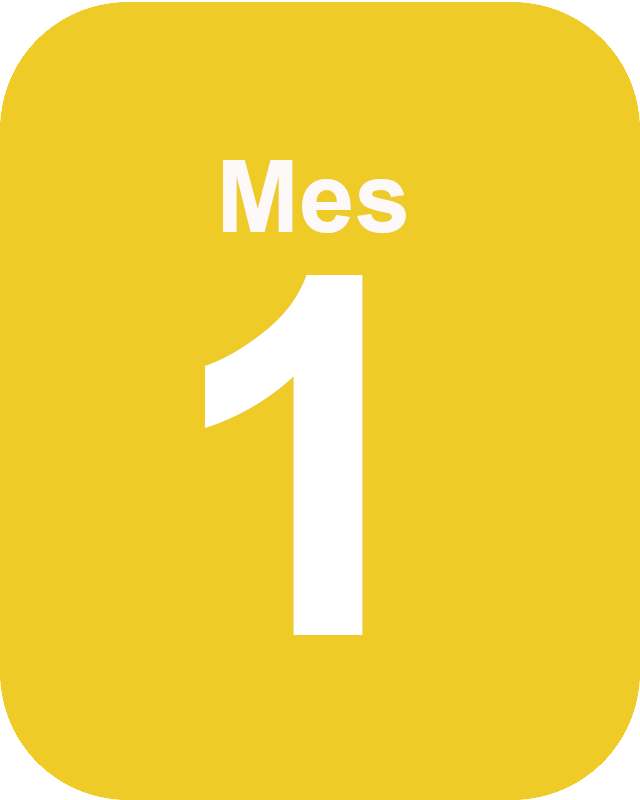 mes uno Mes 1