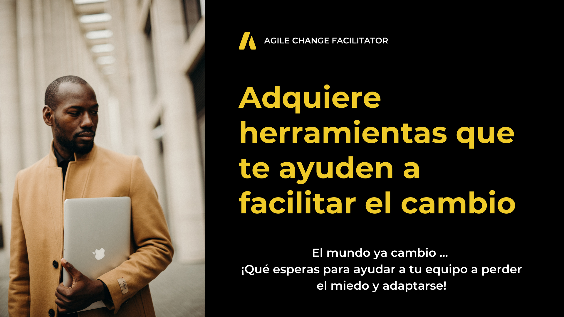 Agile change Facilitator 2