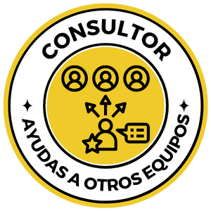 consultor (2)