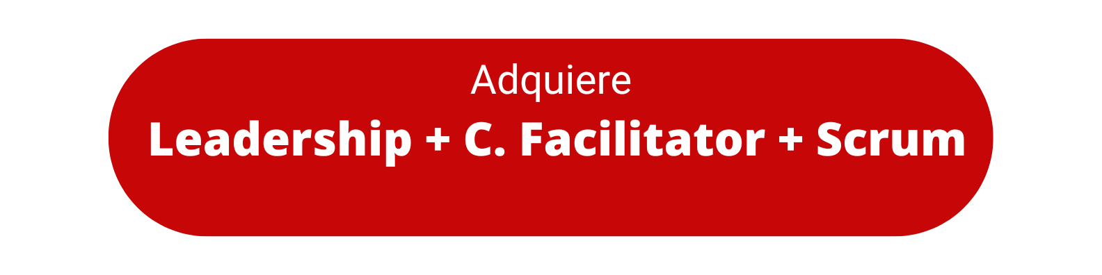 Scrum + Leadership + Change Facilitator black friday