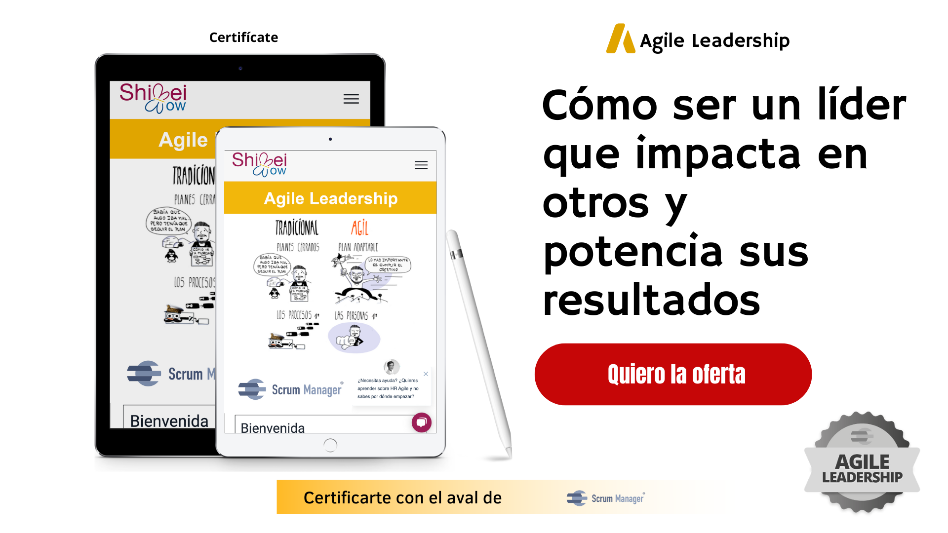 AGILE leadership Balck Friday Comiezo ya