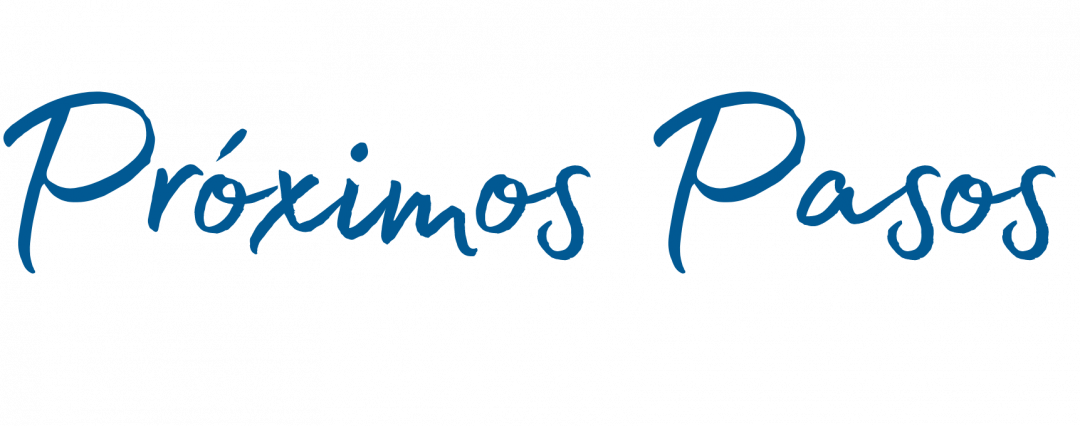 proximos pasos (2)